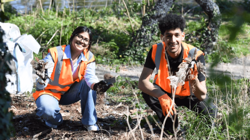 Students from MK College volunteering with the Canal Society as part of our College in the Community Day. The students are wearing orange high vis vests and are knelt down clearing up an area with the canal in the background.