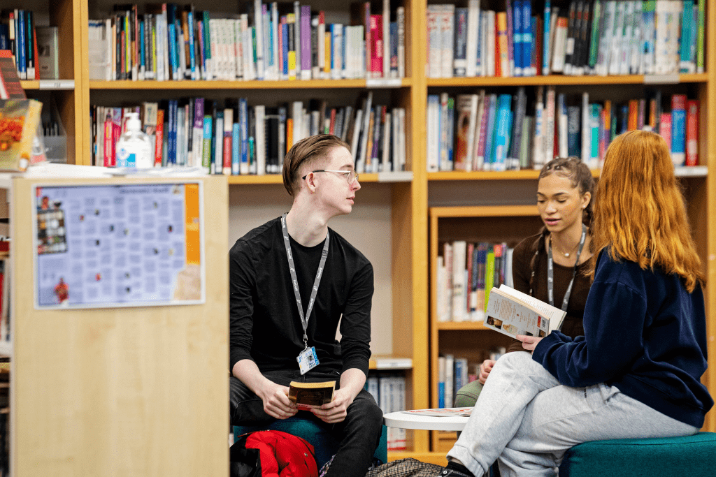 What course level should I apply for?