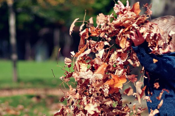 MK College Little Explorers Nursery
