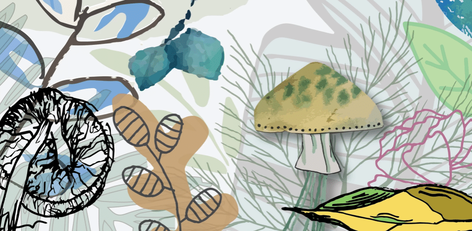 Studying Creative Arts at MK College: Artist and Industry Links