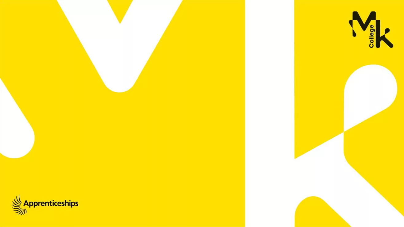 10 Questions You’ve Always Wanted to Ask an Apprentice