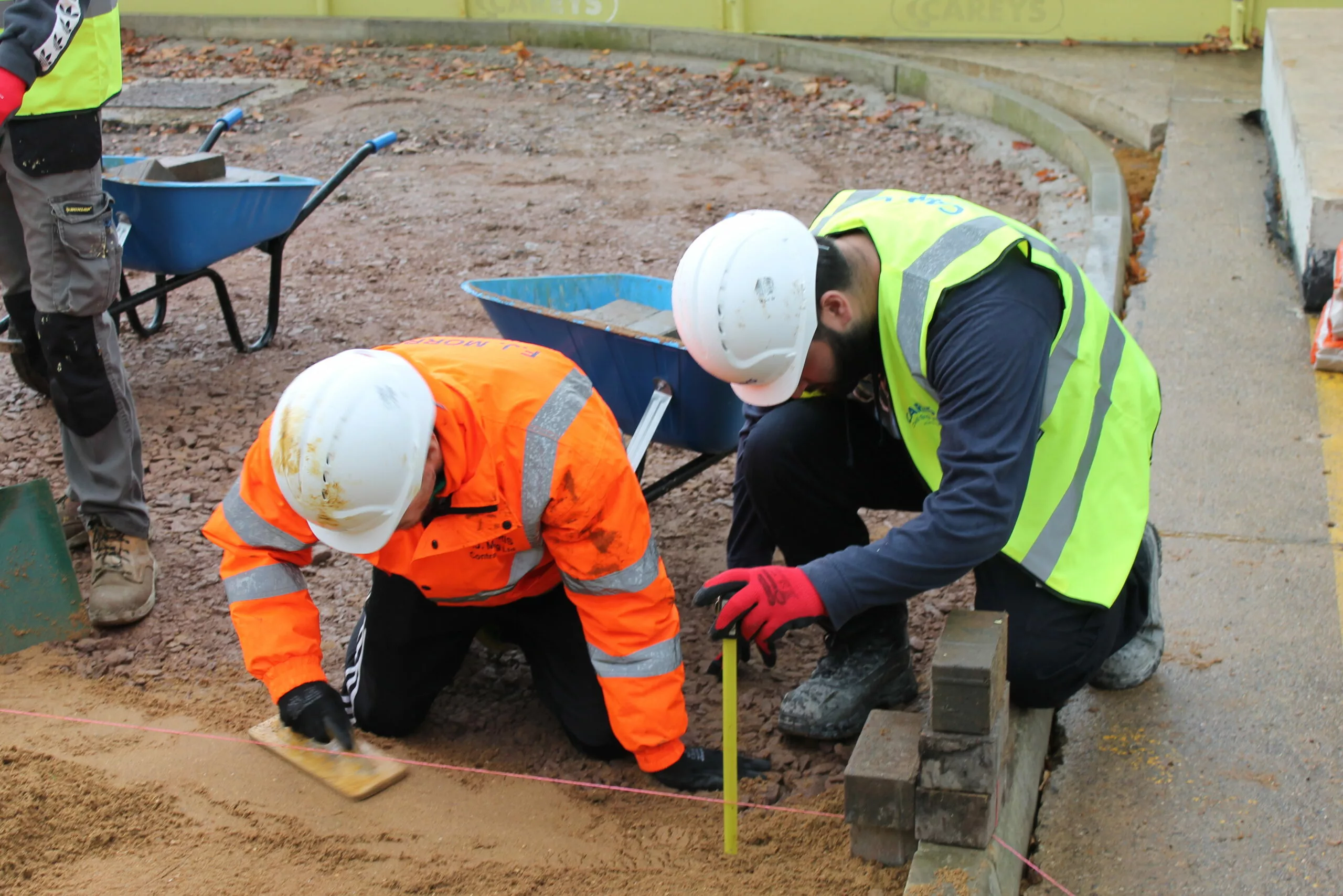 The Carey Group case study